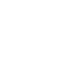 Flying Food